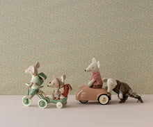 Green Mice Tricycle