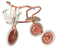 Tricycle Basket for Mice
