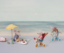 Tricycle Basket for Mice