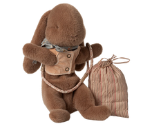 Sleeping Bunny Harnest