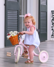 Light Blue Gingham/Pink Meredith Bubble