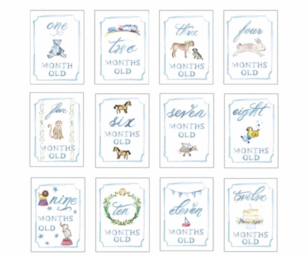 Month by Month Card Set - Blue